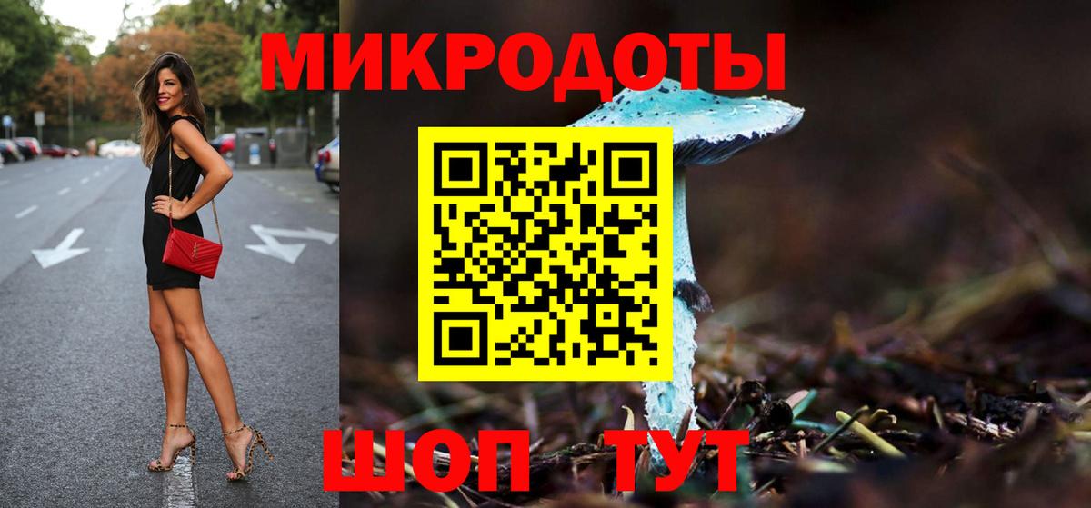 Галлюциногенные грибы Psilocybine cubensis Серпухов